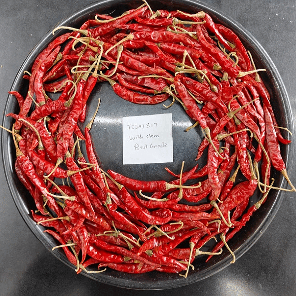 Sadavrat - Red Chilli
