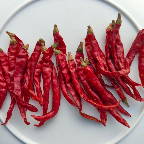Sadavrat - Dry Red Chilli Stemless